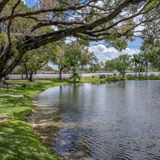 The Park at Murano - Lake with Trees